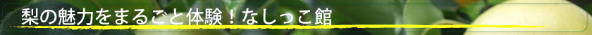 なしっこ館