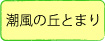 ボタン６