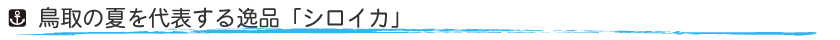 イカ釣り１