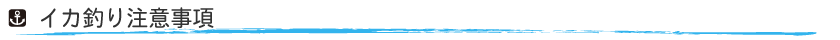 イカ釣り６
