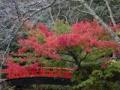 打吹公園