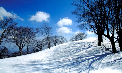 2011とっとりの冬を楽しもう