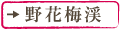 野花梅渓
