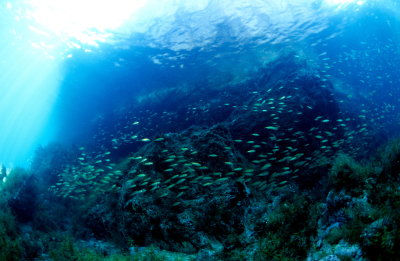 浦富海岸