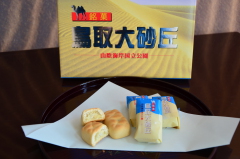 鳥取大砂丘