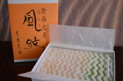 砂丘の風紋
