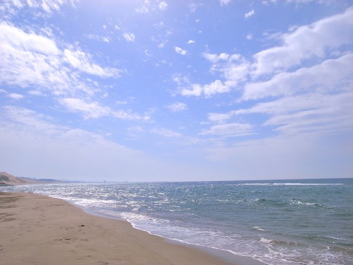 鳥取砂丘海水浴場