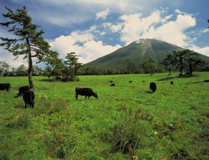 大山
