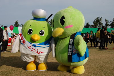 サイバンインコ
