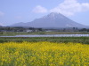 ２０１０年４月