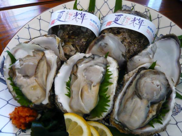 岩ガキ