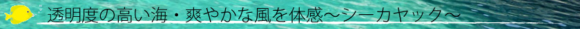 タイトル３