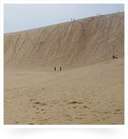 鳥取砂丘の「馬の背」 / 久しぶりに見ましたがやっぱり大きかったです