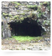 玄武洞の岩と岩の間の緑もきれい！