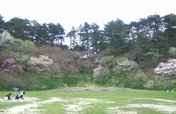 青島のグラウンド