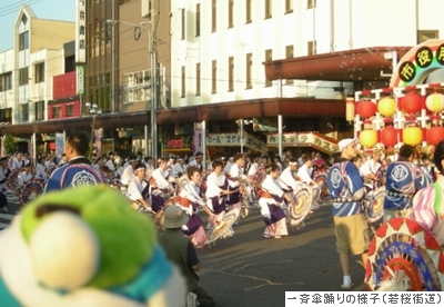 若桜街道の一斉傘踊りを観るトリピー