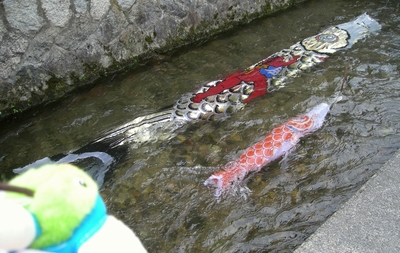 瀬戸川のこいのぼりを見るトリピー