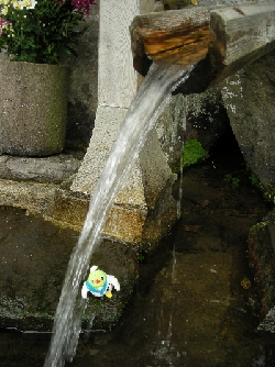 流れ落ちる水を見るトリピー