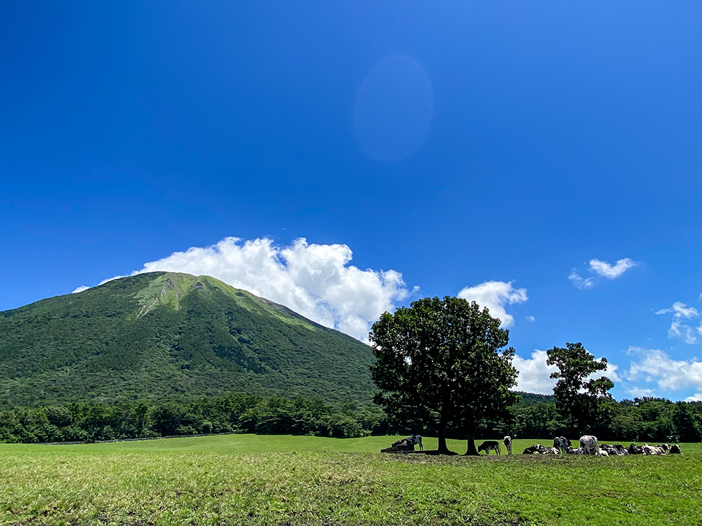 大山まきばみるくの里