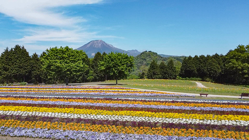 とっとり花回廊
