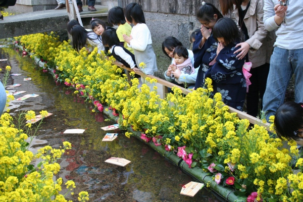 倉吉打吹流しびな