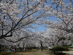 湊山公園