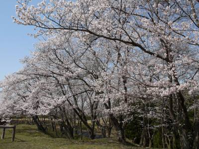 福市遺跡公園