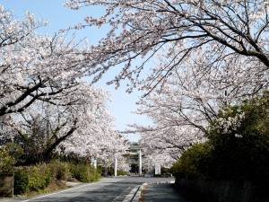 名和神社・名和公園