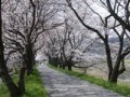 法勝寺城山公園・法勝寺川