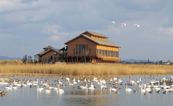 米子水鳥公園