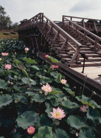 伯耆古代の丘公園