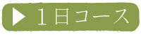 １日コース