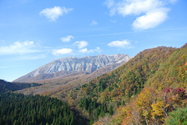 紅葉祭り