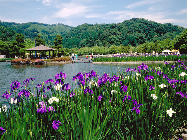 東郷湖羽合臨海公園