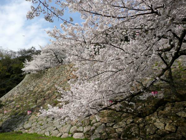 久松公園・鳥取城跡