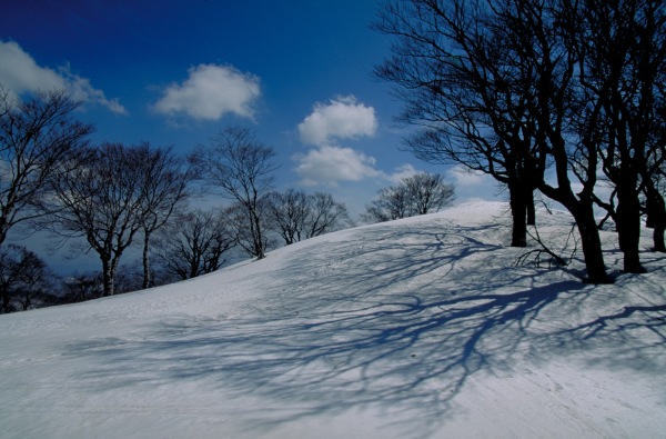 氷ノ山