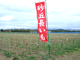 根鈴農園
