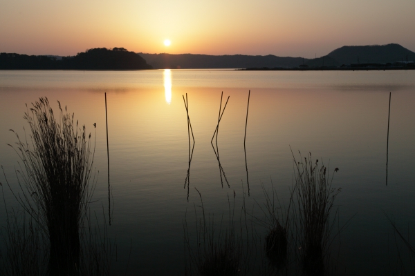 湖山池