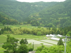 横尾棚田