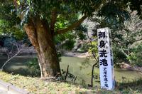 御身洗池