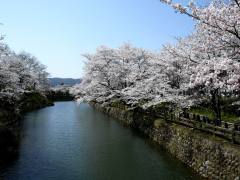 鹿野城跡公園