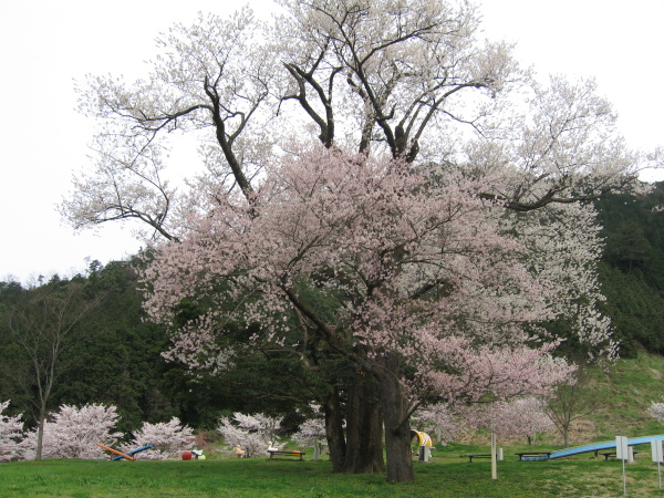 八東総合運動公園