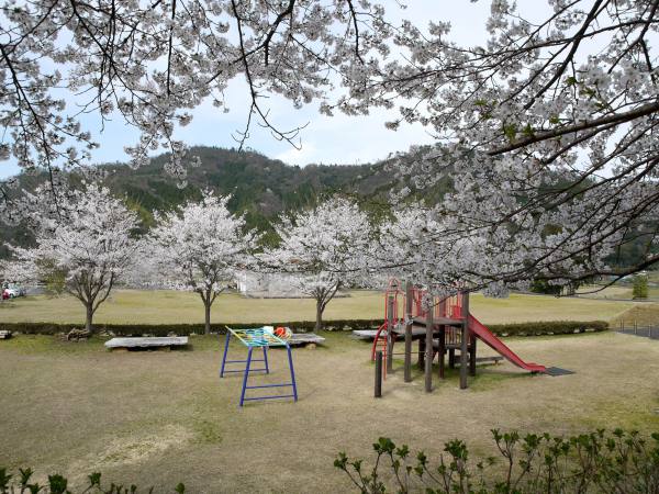 船岡竹林公園