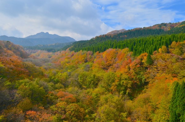 東大山大橋