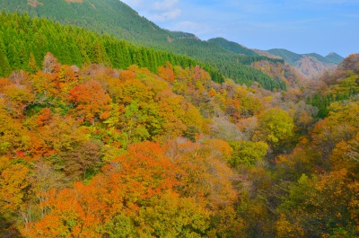 東大山大橋