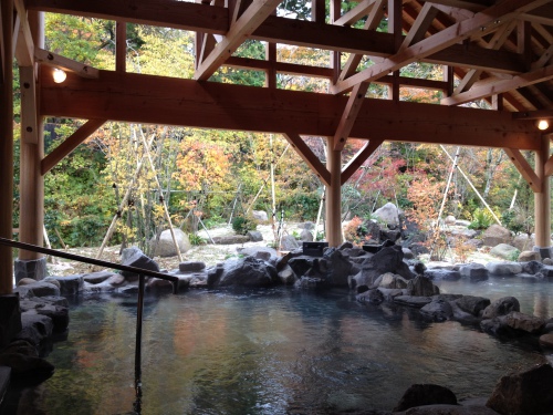 大山火の神岳温泉 豪円湯院