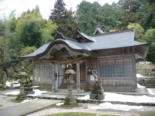 大石見神社・オハツキタイコイチョウ