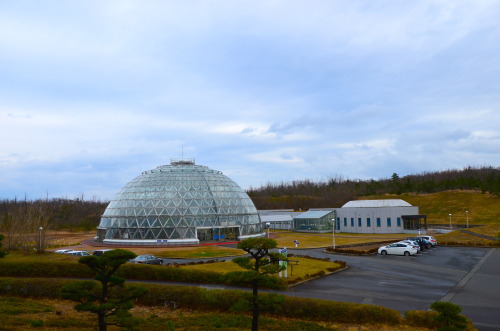 鳥取大学乾燥地研究センター