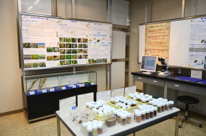 鳥取大学乾燥地研究センター