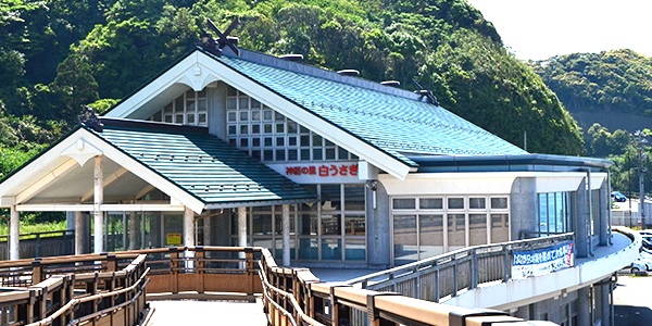 道の駅  神話の里白うさぎ